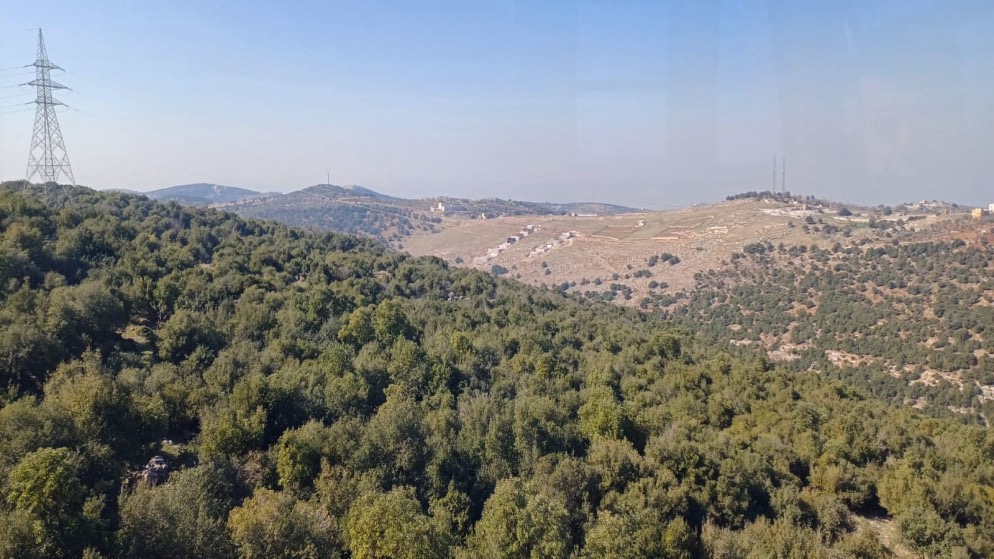 ارتفاع مساحة المحميات الطبيعية في المملكة إلى 4,767 كم² مع استمرار تحديات الغابات والحرائق