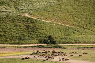 انخفاض طفيف لدرجات الحرارة اليوم