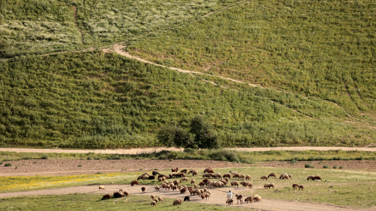 انخفاض طفيف لدرجات الحرارة اليوم
