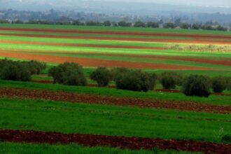 سهل حوران: منطقة حرفية "معلقة" على حبال الوعود.. والحرفيون يواجهون شبح الإغلاق