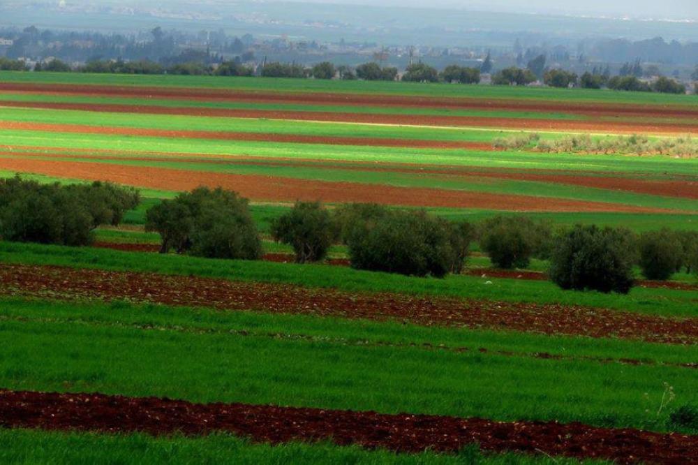 سهل حوران: منطقة حرفية "معلقة" على حبال الوعود.. والحرفيون يواجهون شبح الإغلاق