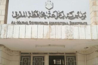 زراعة المفرق: المدارس الحقلية تعزز كفاءة الإنتاج والأمن الغذائي في المحافظة