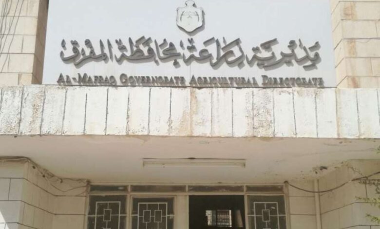 زراعة المفرق: المدارس الحقلية تعزز كفاءة الإنتاج والأمن الغذائي في المحافظة