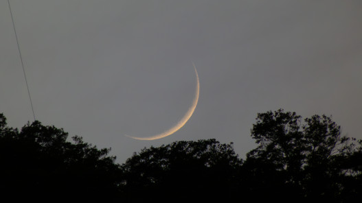 صورة حول : الفلكية الأردنية تحذر من رصد الهلال الثلاثاء بالتلسكوب الفلكية الأردنية تحذر من رصد الهلال الثلاثاء بالتلسكوب