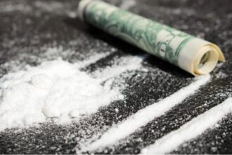 البحرية الفرنسية تسحق "ترانزيت السموم" في المحيط الهادئ!