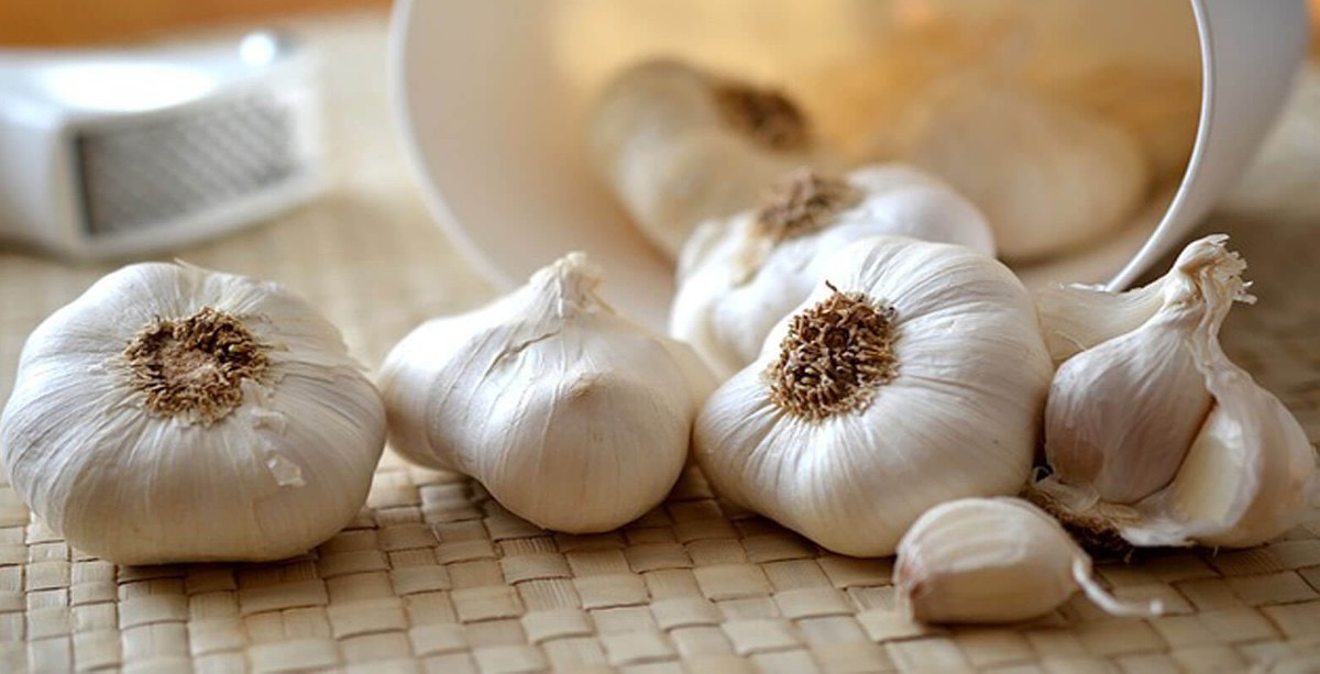 "الثوم" يسجل سعراً قياسياً بـ 5 دنانير.. واتحاد المزارعين يبشر بانفراجه محلية مع بداية رمضان