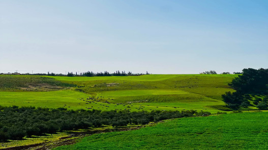 آلاف المتنزهين يتوافدون إلى مواقع إربد السياحية في آخر جمعة قبل رمضان