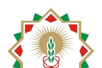 بلدية إربد توضح: لا انهيار في مجمع السفريات.. الحادثة ناجمة عن أعمال صيانة فقط