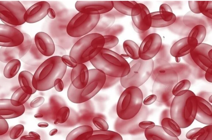 وهم "الطاقة الزائدة".. لماذا يحذر الأطباء من الارتفاع الصامت للهيموغلوبين؟