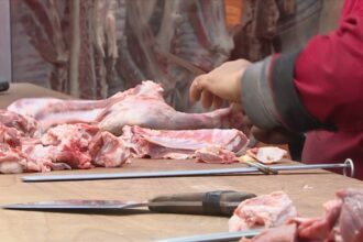 "الزراعة" توقف تصدير الخراف الحية وتفتح مناشئ استيراد جديدة