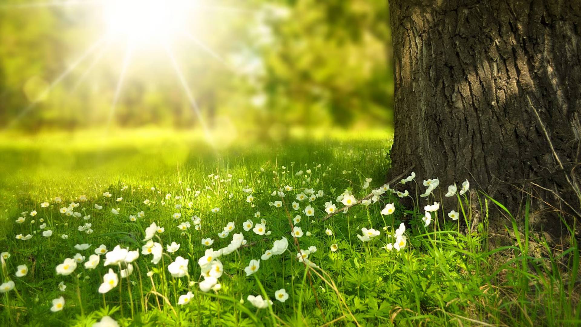 طقس العرب: ارتفاع قياسي بالحرارة الاثنين وانقلاب جوي الثلاثاء