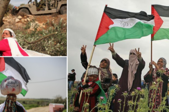 الاحتلال يشرع قانوناً يتعلق بالأراضي الفلسطينية