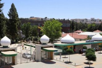 الجامعة الأم… تحتضن الجميع دون حسيب أو رقيب