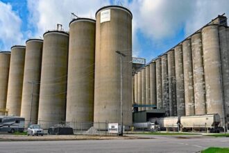  إحباط محاولة اختراق إيراني للشركة العامة للصوامع