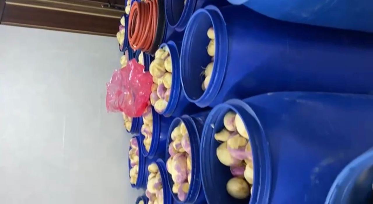 الغذاء والدواء تُغلق مشغل مخللات غير مرخّص