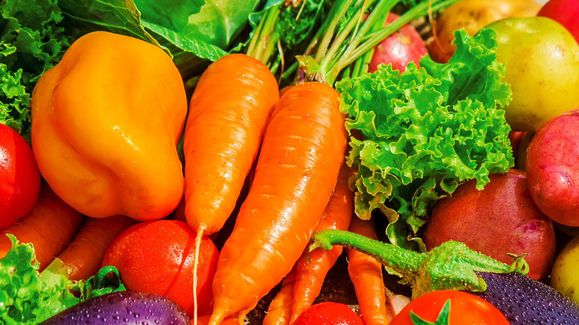 صورة حول : أسعار الخضار بالسوق المركزي اليوم أسعار الخضار بالسوق المركزي اليوم