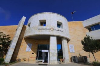 الشباب تنشط المحافظات ببطولات وبرامج وطنية لتعزيز مهارات الشباب