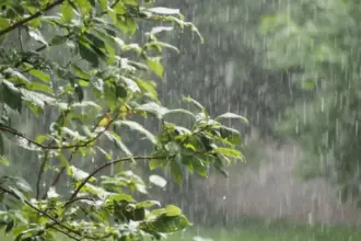 الأرصاد تحذر من أمطار رعدية غزيرة أحياناً في شرق وجنوب المملكة