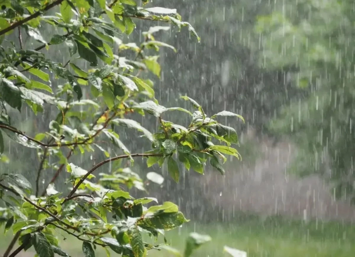 الأرصاد تحذر من أمطار رعدية غزيرة أحياناً في شرق وجنوب المملكة