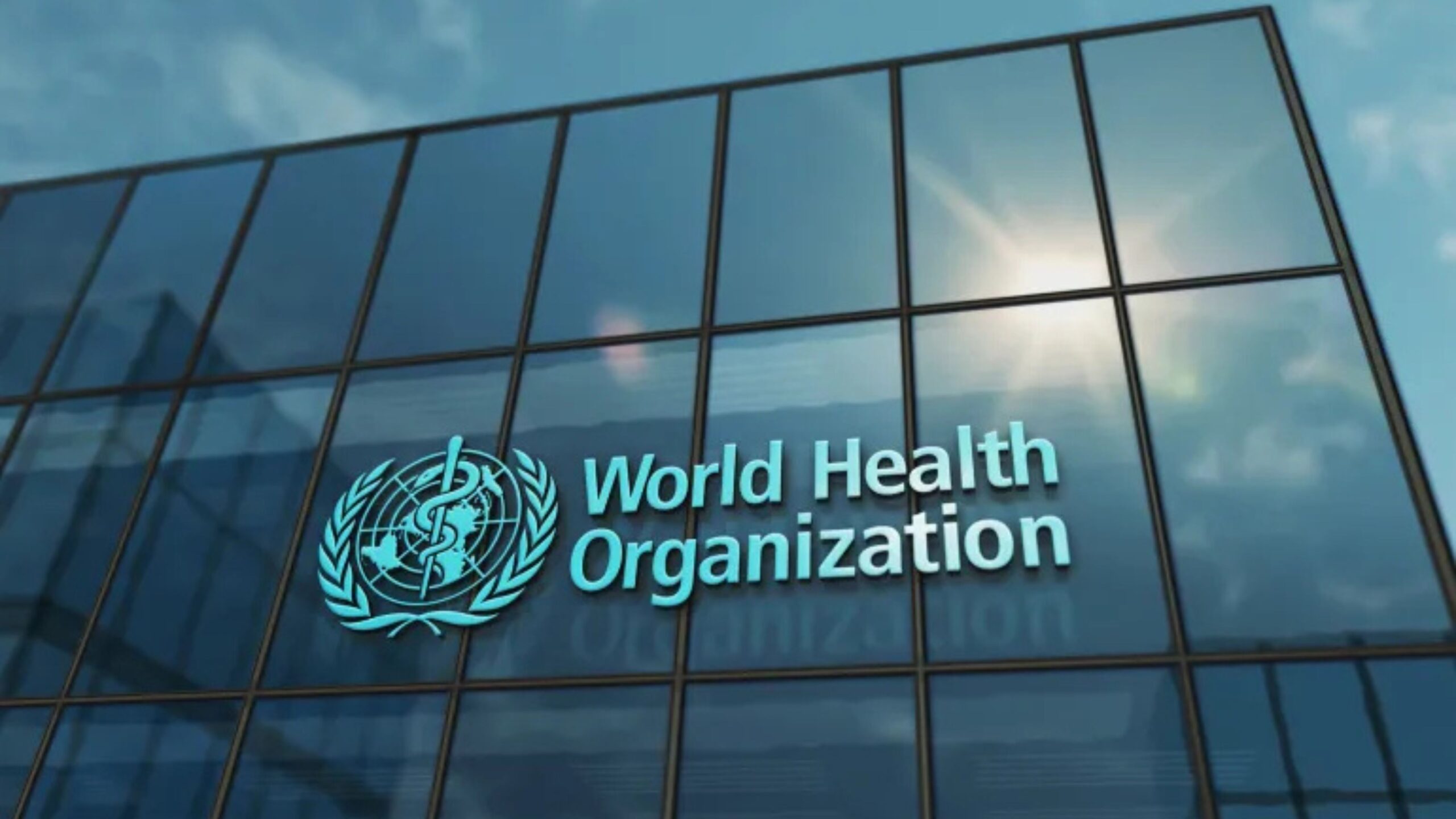 صورة حول : الصحة العالمية: معبر كرم أبو سالم يقتصر على الوقود ويعيق إيصال المساعدات الحيوية لغزة الصحة العالمية: معبر كرم أبو سالم يقتصر على الوقود ويعيق إيصال المساعدات الحيوية لغزة