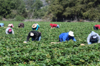 وزارة الزراعة: أمطار المملكة تعزز رطوبة التربة وتبشر بموسم زراعي أفضل
