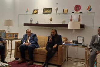 سفيرة جنوب أفريقيا: العلاقات مع الأردن عميقة ونسعى لتوسيع التعاون السياحي