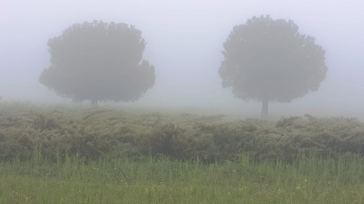 صورة حول : أمطار خفيفة إلى متوسطة في مناطق متفرقة أمطار خفيفة إلى متوسطة في مناطق متفرقة