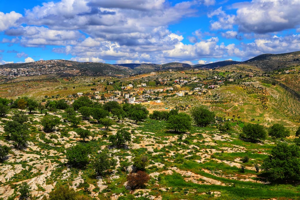 صورة حول : أمطار عجلون تنعش الزراعة وتعزز آمال موسم إنتاجي وفير أمطار عجلون تنعش الزراعة وتعزز آمال موسم إنتاجي وفير