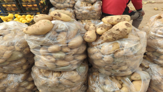 صورة حول : 2668 طناً من الخضار إلى سوق الجملة المركزي في عمّان وأسعار متفاوتة للأصناف 2668 طناً من الخضار إلى سوق الجملة المركزي في عمّان وأسعار متفاوتة للأصناف