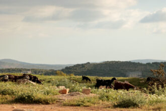أجواء مستقرة الثلاثاء تسبق حالة من عدم الاستقرار مساء الأربعاء