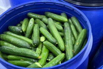 الغذاء والدواء تُغلق مشغل مخللات غير مرخّص