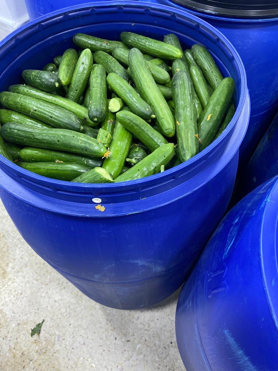 الغذاء والدواء تُغلق مشغل مخللات غير مرخّص