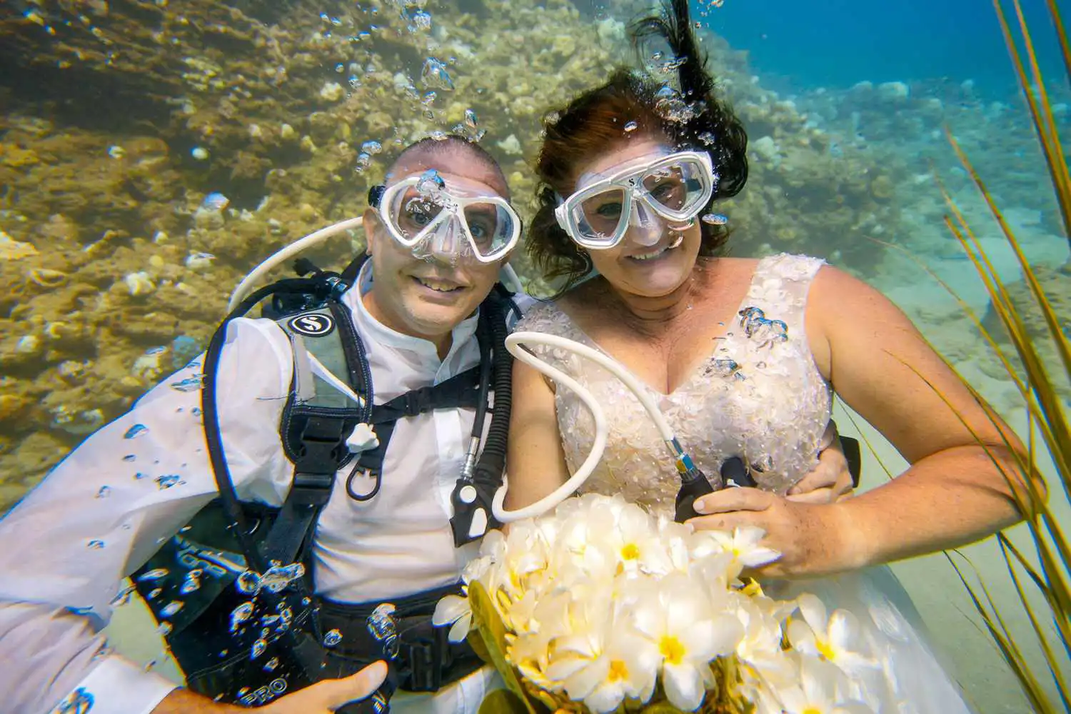 "ملاذهما السعيد".. زوجان يعقدان قرانهما وسط البحر في موريشيوس (صور)