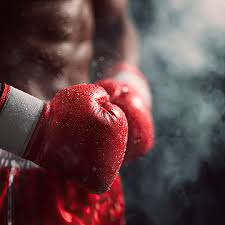 محكمة الجنايات الكبرى تصدر حكمها ضد الملاكم المتورط في جريمة قتل بالزرقاء