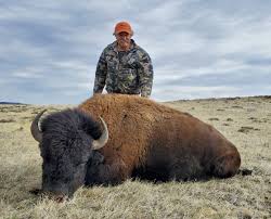 فيل يدهس رجل أعمال أمريكيا حتى الموت