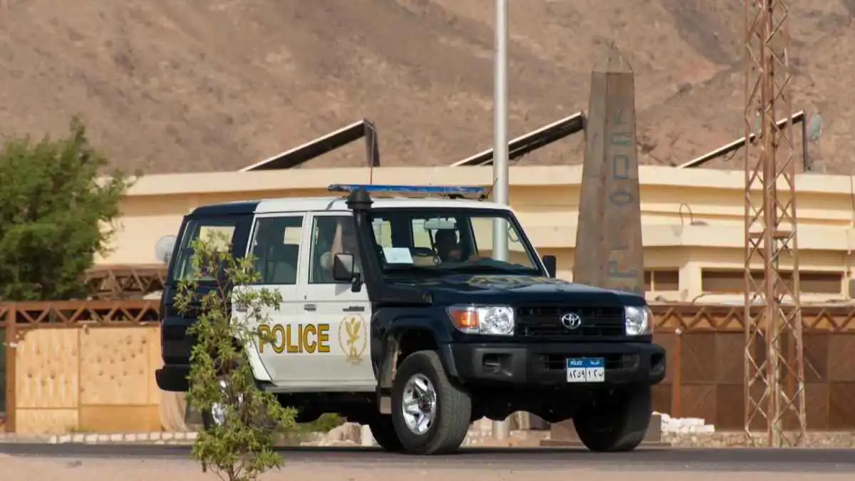 بين كلاب ضالة وعنف بشري.. نهاية مأساوية لـ"طفلي القمامة" في مصر