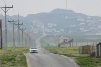 الخناصري تتزين بالأخضر وتستقطب الزوار