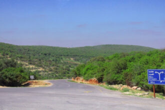 عجلون تؤكد: الوحدة الوطنية سلاح الأزمات