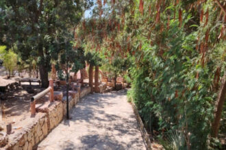 بلدية جرش تغلق المتنزه تمهيدًا لتأهيله