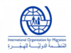 المنظمة الدولية للهجرة: 990 وفاة بالمتوسط