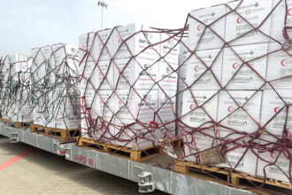 الإمارات ترسل 100 طن مساعدات لغزة عبر العريش