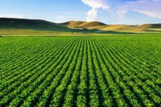 الصادرات الزراعية الأردنية تسجل رقماً قياسياً جديداً