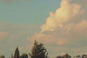 شطنا تستعيد حضورها كوجهة ريفية طبيعية شمال الأردن