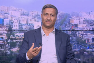 البلاونة يوضح أسباب تذبذب أسعار البندورة