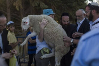 محافظة القدس: 7 محاولات لإدخال “قرابين حيوانية” إلى الأقصى خلال الفصح اليهودي