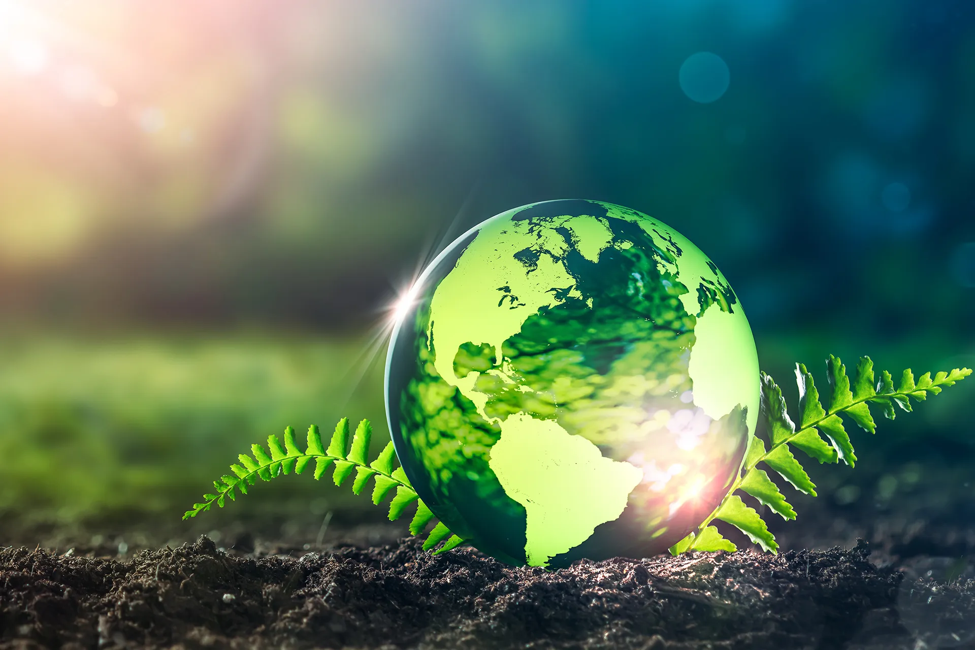 الأردن يحتفل بيوم الأرض ويؤكد حماية البيئة