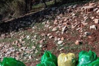 وزير البيئة يرعى حملة نظافة في غابات دبين