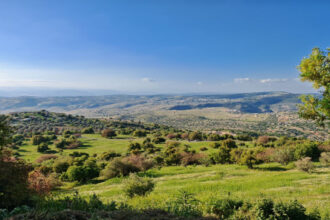الأمن العام: خطة لضبط سلوكيات التنزه وحماية البيئة