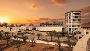 الشركس: الاقتصاد الأردني يواصل التحسن رغم التحديات