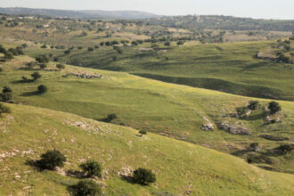 طقس بارد نسبياً الأحد وارتفاع تدريجي على الحرارة حتى الأربعاء مع أجواء دافئة ومغبرة أحياناً